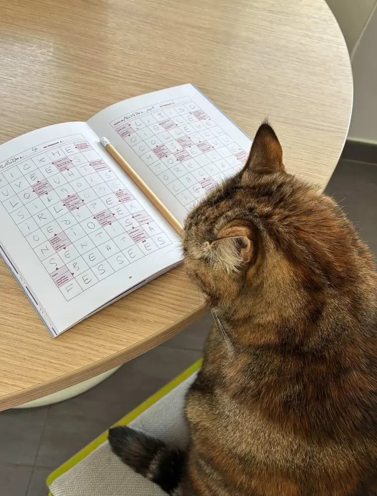 Chat tabby observant un cahier de mots fléchés Grillé ouvert sur une table en bois